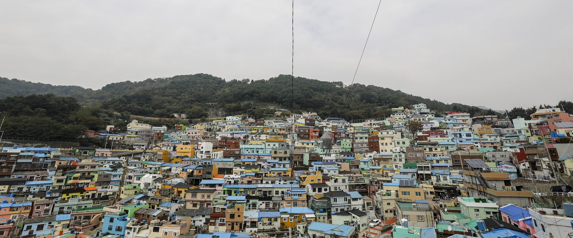 Gamcheon Culture Village: The Nickname Was a Grant Title