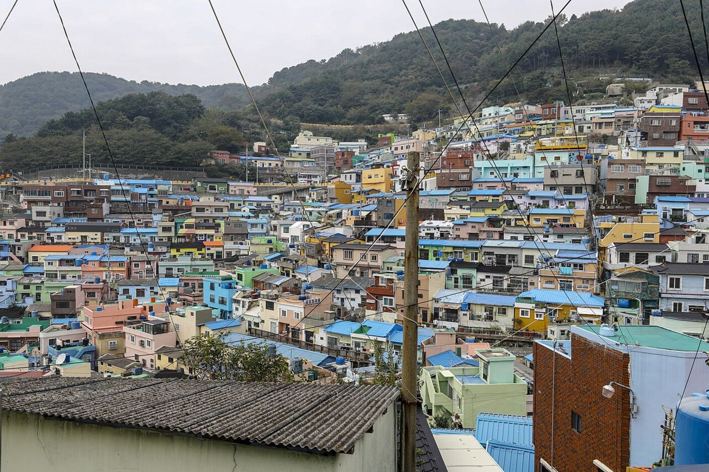 Pastel-painted houses stacked in rows up a steep hillside in Gamcheon, with a wooded ridge behind