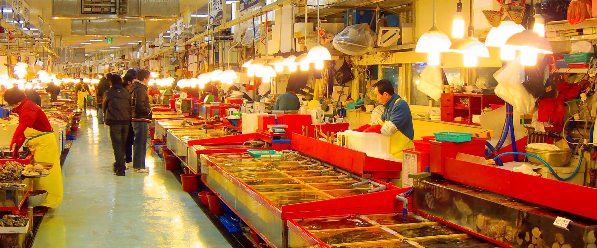 Jagalchi Market: The Day Starts at Five